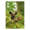 Acheter Pixies Jeu de Société - Bombyx - L'Atelier du Jouet