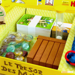 Acheter Le Trésor des Mayas Occasion - HABA - L'Atelier du Jouet